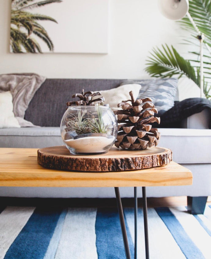 Summer Daze & Decorating Ways