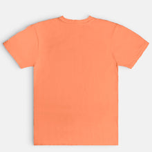 Comfort Color Tee 1717