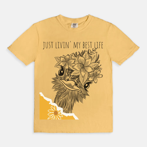 Funny T-shirt 