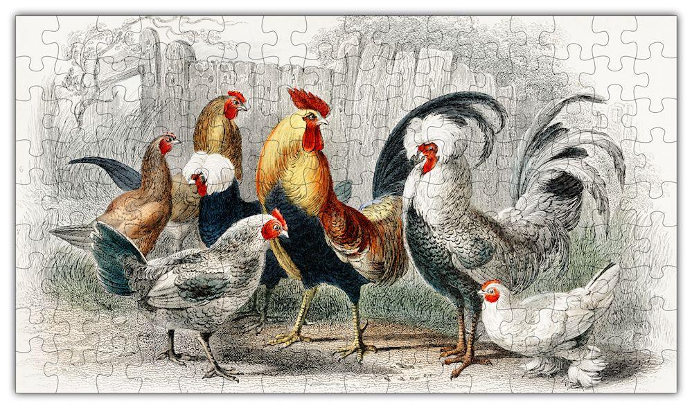Rooster Puzzle #6705