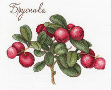 Berries SNV-650 Cross-stitch kit