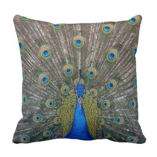 Throw Pillow Peacock
