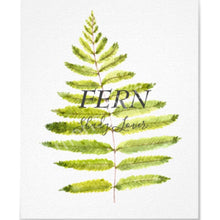 Watercolor Fern Art Typography Print 8 X 10 "Shady Lover"
