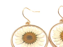 White Daisy Earrings, Pressed Flower Earrings