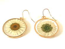 White Daisy Earrings, Pressed Flower Earrings