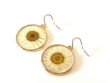 White Daisy Earrings, Pressed Flower Earrings