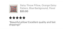 Daisy Throw Pillow, Orange and Blue Daisy Floral
