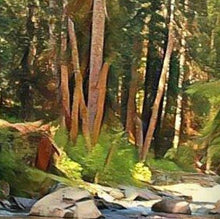 Folding Screen, Barefoot Delight, River, Mountain Wilderness Landscape